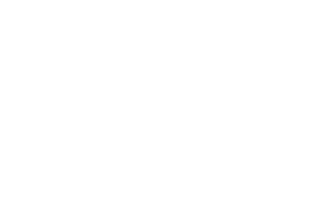 2D_White_RawFury_Logo